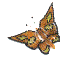 One of my first beaded butterfly projects!